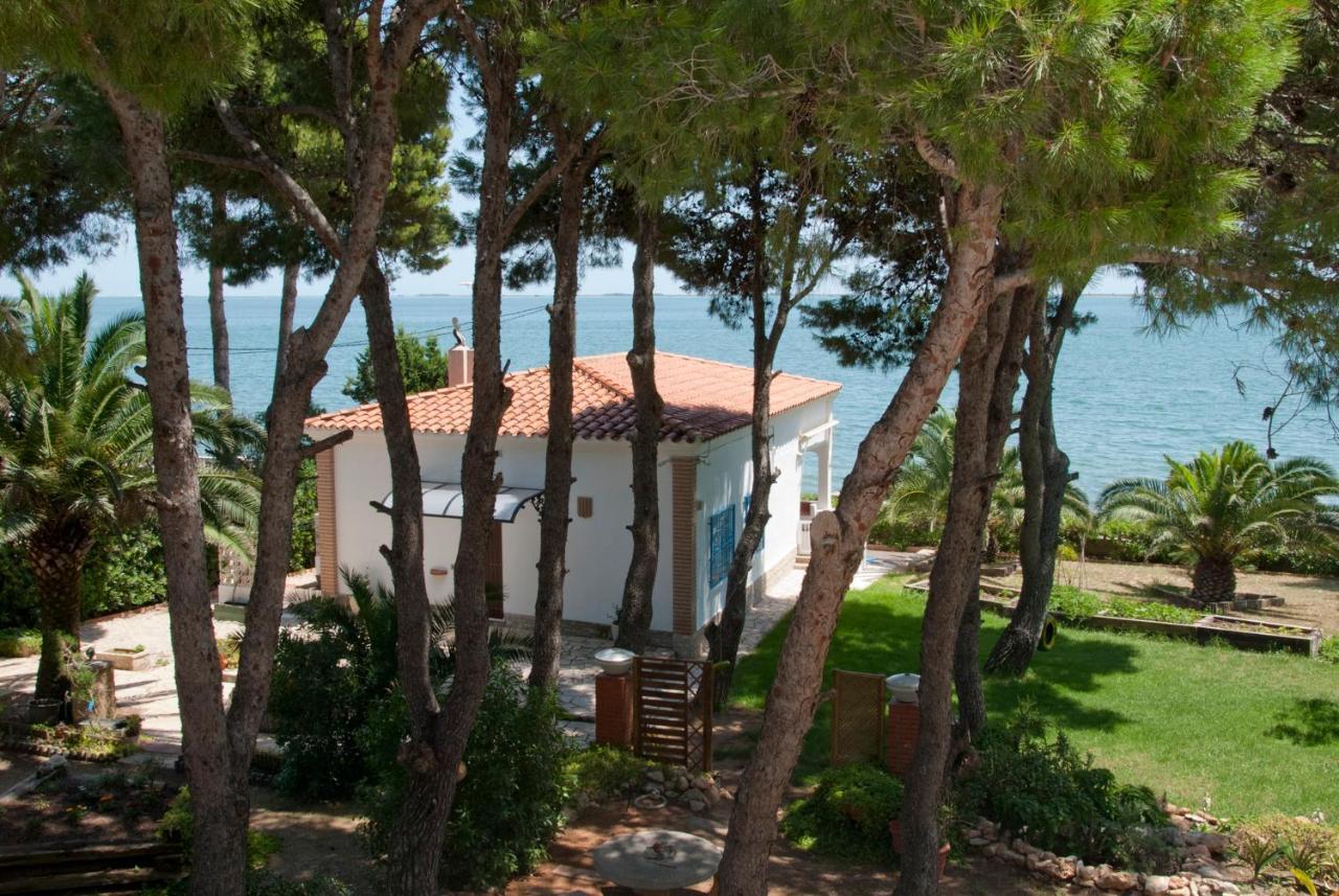 Sargantana Blava Villa Sant Carlos de la Ràpita Dış mekan fotoğraf